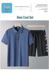 Men's Ice Silk Quick-Dry Polo & Shorts Set - Casual Summer Sportswear