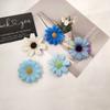 5pc European and American Daisy Flower Hair Side Clips Hairpin for Women Girls Korean Photo Vacation Headwear Hair Accessories