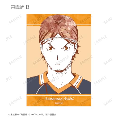 Armabianca Haikyu!! Trading Ani Art 1st Edition Bromide ver.A 12.7 x 8.9cm Paper Box of 18