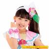 Bandai Tropical ~ Ju! PreCure Henshin Pretium Cure Summer Accessory Set
