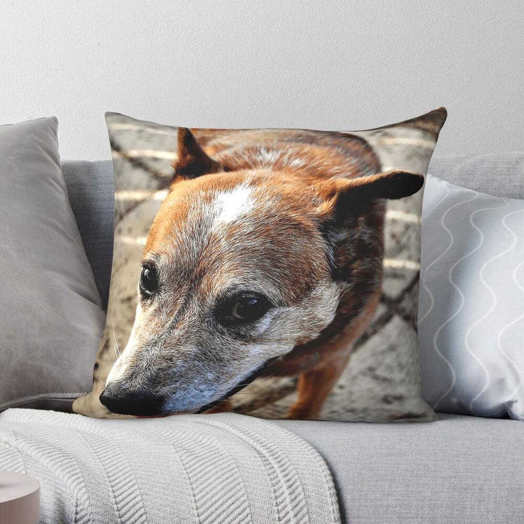 Sneaky Sam The Cowdog Pillowcase Polyester Linen Velvet Creative Zip Decorative Pillow Case Home Cushion Cover