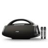 W-King D20S Portable K-Song Bluetooth Speaker (CN version)