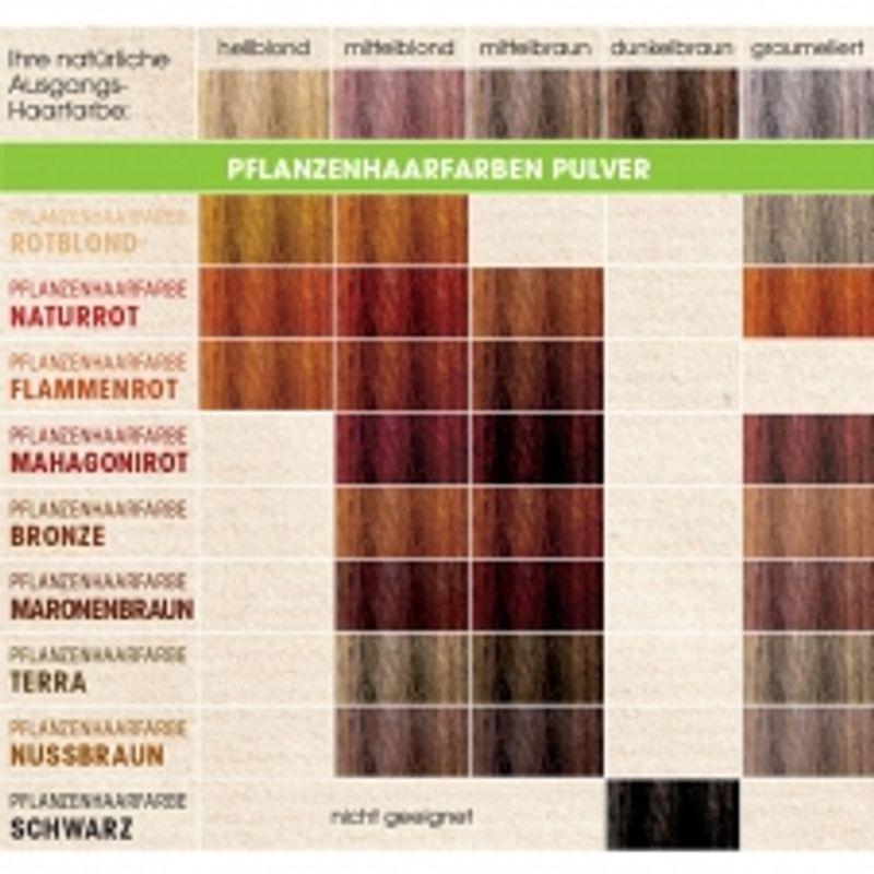 Sante Vegan Hair Dye (Chestnut Brown) 100g