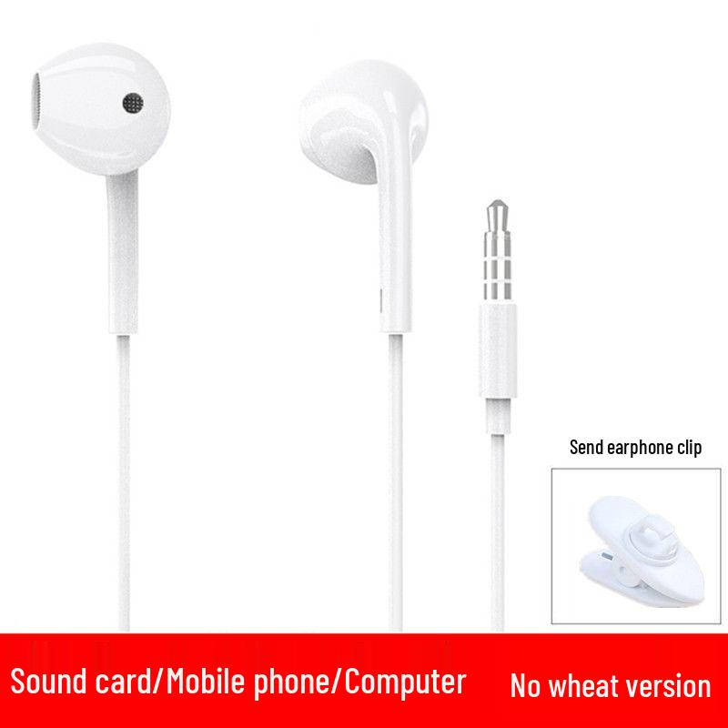 In-Ear Wired Computer Headphones with 2-3 Meter Cable & Microphone for Live Streaming