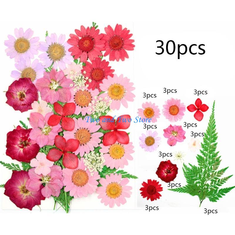 HX6F Pressed Flower Herbs Resin Beauty Art Decals Epoxy Mold Fillings Crystal Epoxy Filler Dry Flower Decor