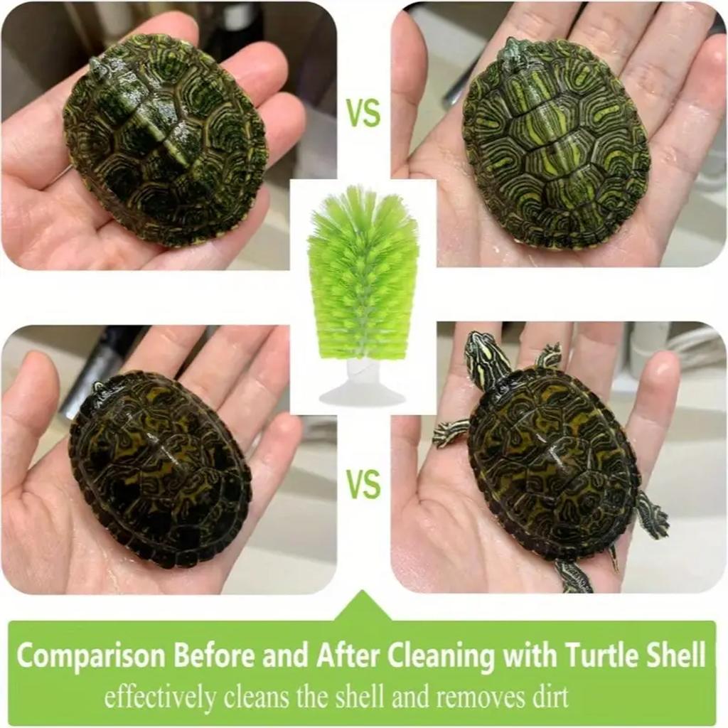 Amphibian Friendly Turtle Back Scrub Brush PVC Suction Cup Exfoliation Tool for Removing Shell Scutes and Promoting Shell Health