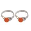 1 Pair Practical Curtain Tieback Exquisite Reusable Wear-resistant No Hooks Required Curtain Buckle Punch Free for Hotel