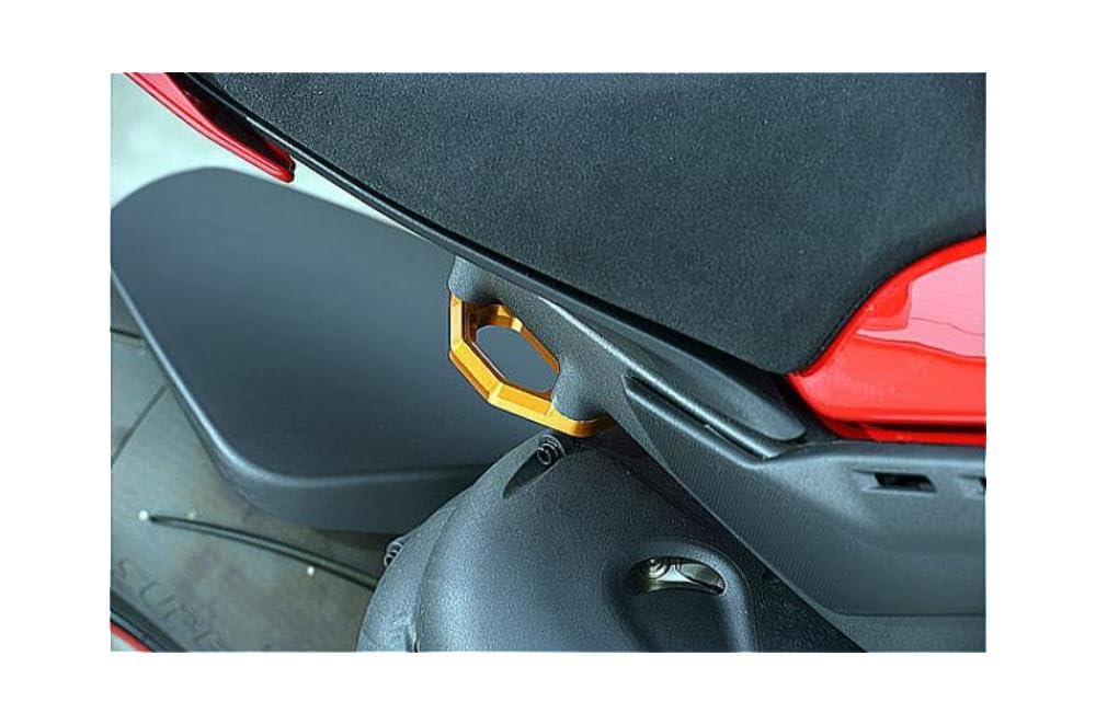 

BABY FACE Racing Hook Gold DUCATI PanigaleV4/S/R 005-FD004GD
