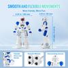 VEVOR RC Robot Toys for Kids, Gesture Sensing Programmable Remote Control Smart Robot