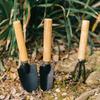 In-Stock Mini Garden Tool Set: Small Shovel, Rake, Trowel for Succulents and Potted Plants