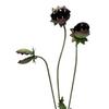 Metal Carnivorous Plant Garden Stake Handmade Rainproof Yard Sculpture for Flower Beds Patios Planters Rustproof Unique Quirky Garden Gift