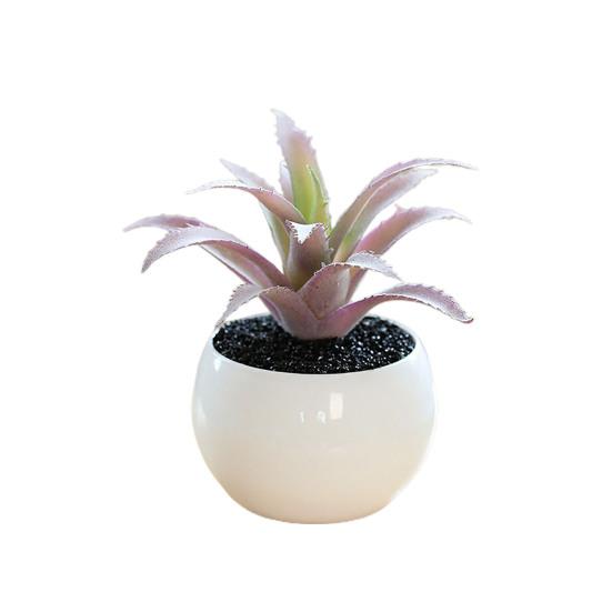 Fałszywe rośliny doniczkowe Odporne na warunki pogodowe rekwizyty fotograficzne Szerokie zastosowanie Doskonałe mini sukulenty Biurko Akcesoria domowe doniczkowe