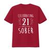 Celebrating  Years Sober Sobriety Anniversary AA Recovery T Shirt  vintage Washed Stretched fashion homme streetwear