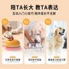 Funny Color Matching Press Bell Pet Dog Training Tool