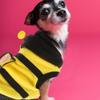 Bee Costume For Dogs Small Pets Yellow Black One-Piece Durable Pet Outfit Outdoor Walking Jogging Dress-Up Supplies Dog