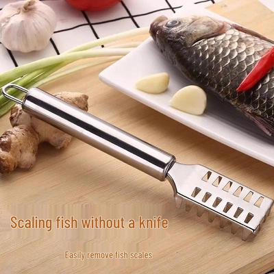Stainless Steel Multifunctional Fish Scaler and Scraper Tool