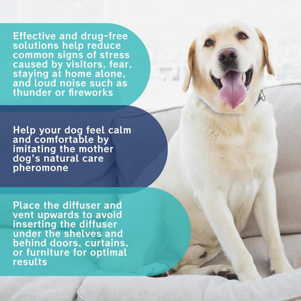 YEGBONG Pet Mood Care Relief for Dogs and Cats Comfort & Calm Care for Agitation