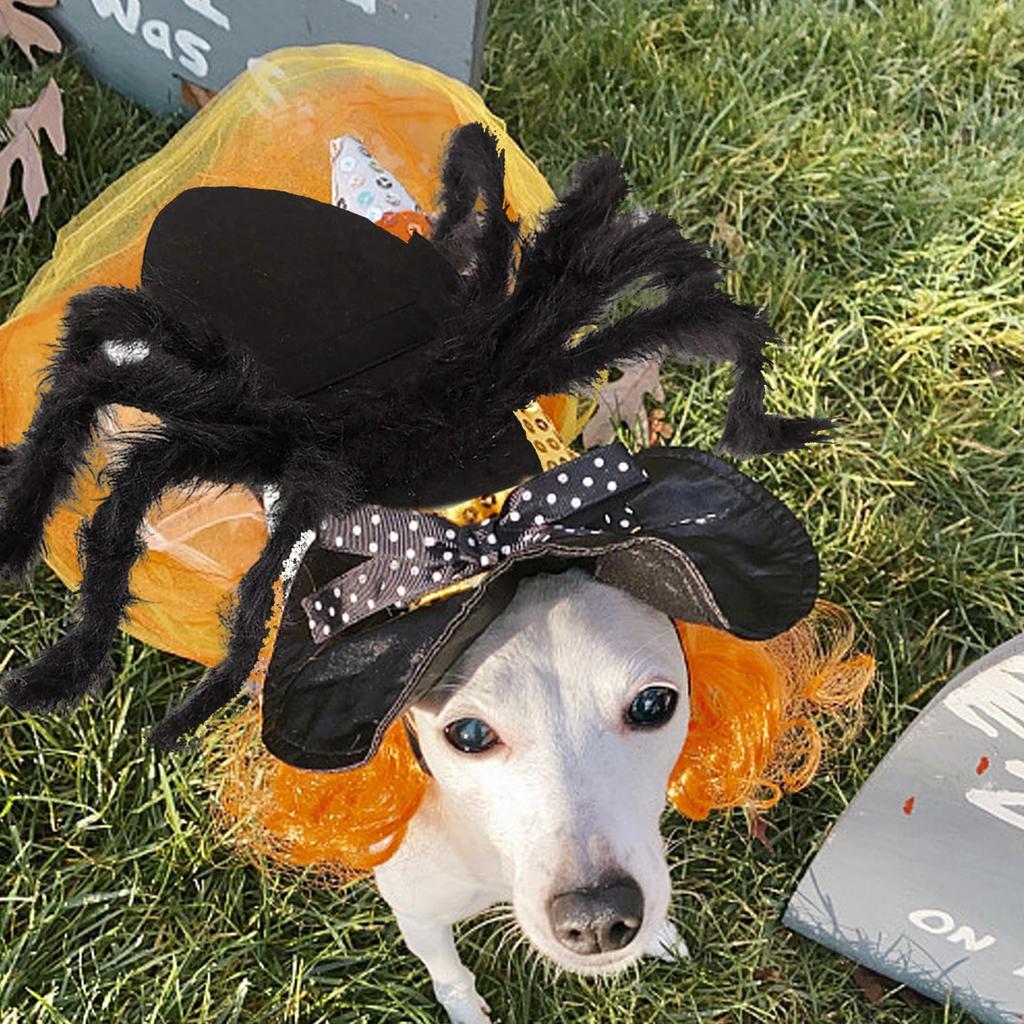 Kostium Pająka Dla Psów Strój Cosplay Rekwizyty Przebranie na Halloween Ubranka na Imprezę Halloweenową Rekwizyty do Przebrania kostium dla zwierzęcia