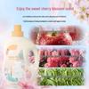 Zhihu Sakura Scent Laundry Detergent