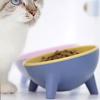 Anti Slip Pet High Footed Bowl Anti Vomiting Wide Mouth Elevated Pet Feeder Bowl Stable 15° Inclination Cat Food Water Bowl