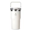 CARRY BOTTLE Dual Flow Top Handle Straw Tumbler 630ml Vacuum Stainless 2-in-1 Bottle Stainless Tumbler