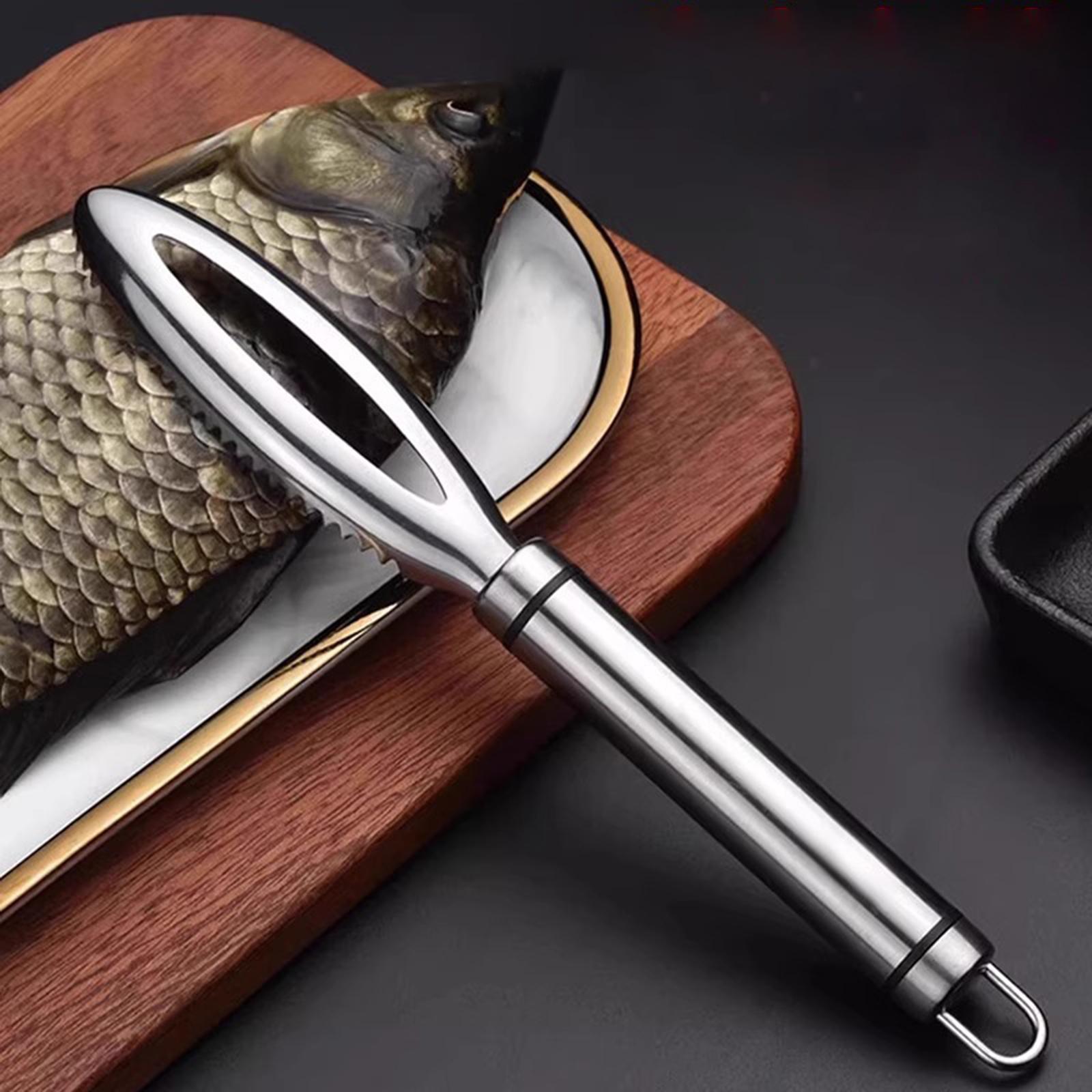 

Scale Scraper, Household Stainless Steel Manual Scale Remover One Size белый