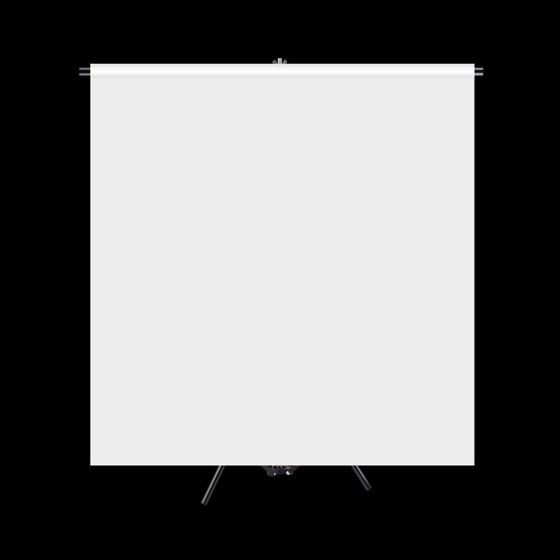 Leiz White Flocked Photography Background Cloth