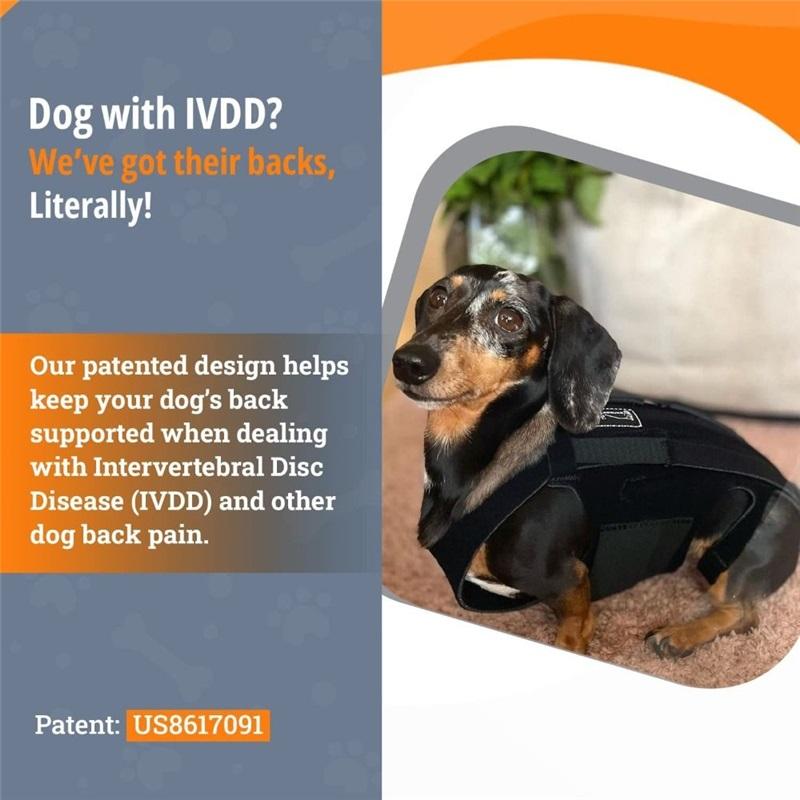 Comfortable Black Dog Back Support Vest Breathable Reusable Pet Orthopedic Support Brace Adjustable Dog Chest & Back Bracket Dog