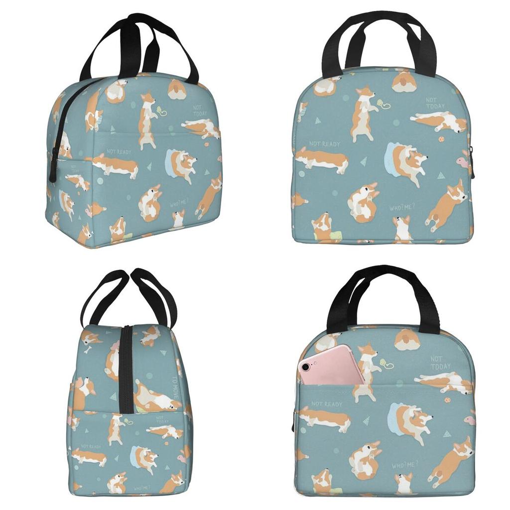 Corgi Puppy Lie Down In Blue Background Insulated Lunch Bag for Kid Cooler Thermal Food Box Tote Leakproof Lunch Boxes Container