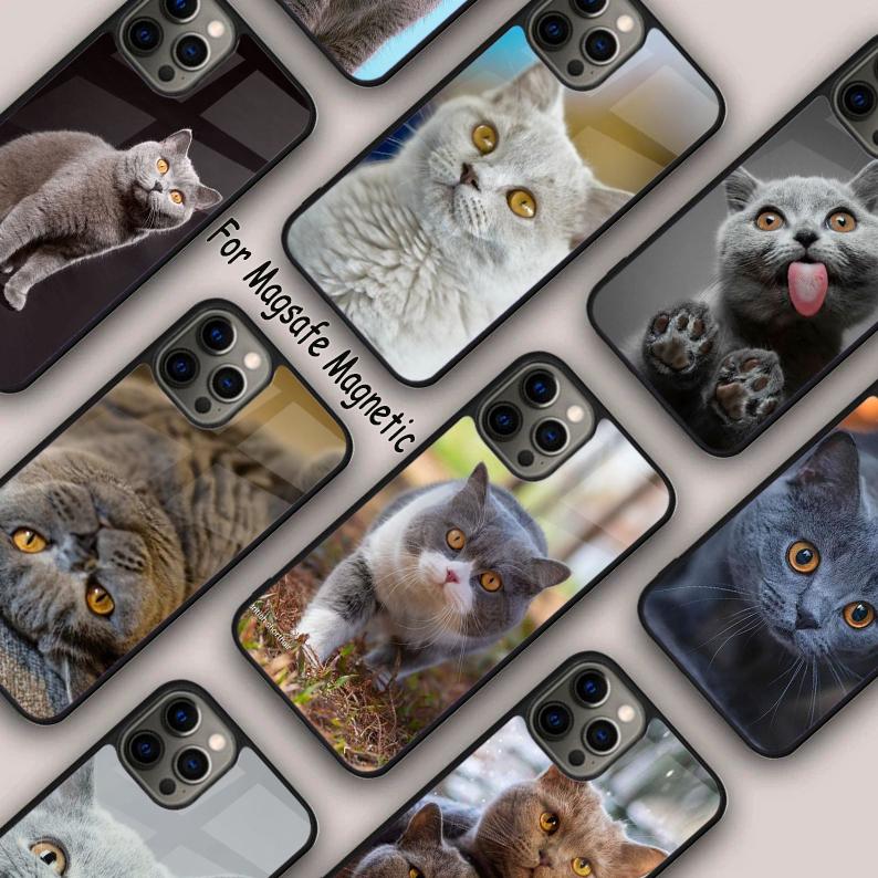 Beautiful Grey British Shorthair Cat Magnetic Phone Case For iPhone 17 Air 16 14 13 12 Pro Max 15 Plus Wireless MagSafe Cover