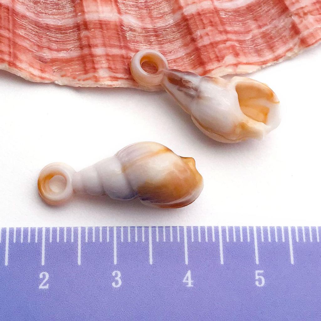 Gold-Plated Natural Shell Conch Pendant for DIY Necklace, Earrings, Wind Chime, or Hanging Ornament.