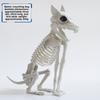 Halloween Dark Animal Skeletons For Haunted House Decor