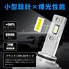 Luxnexu HB4 LED Vehicle Inspection Super Compact LED Dual Heat Long Easy for Cars and Motorcycles Headlights/Fog Lamps, Compliant, Bright, 20W,