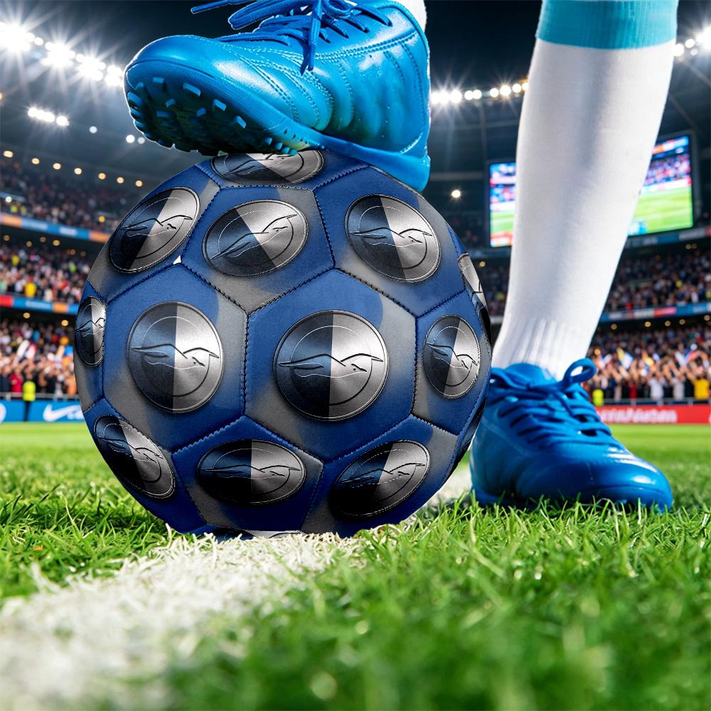 Brighton & Hove Albion FootballPrinted Size 5 Soccer Blbion Football, Anti Slip Adult Match Football Souvenir for Football Fans