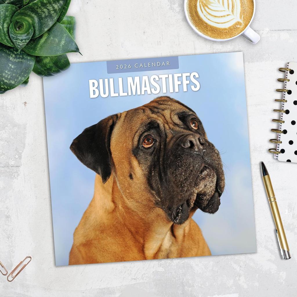 Red Robin 2026 Bullmastiffs Monthly Wall Calendar | 12" x 24" Open | Premium Thick & Sturdy Paper | Hangable 12 Month Calendar | Lined Notes & To Do