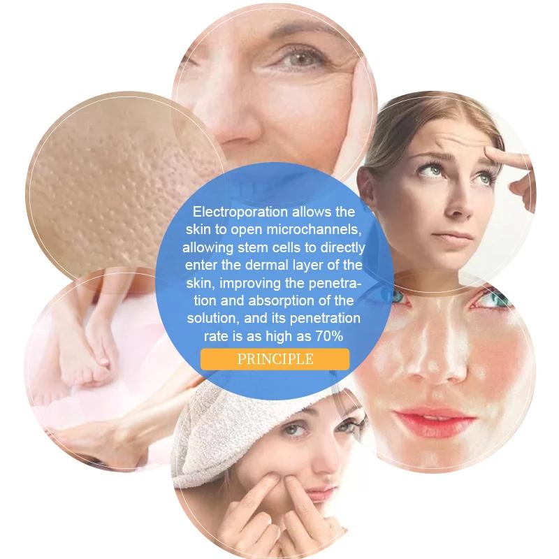 2024 NEW Dcool Portable Hot Cold EMS Facial Beauty Device Multi-Function Skin Care Equipment