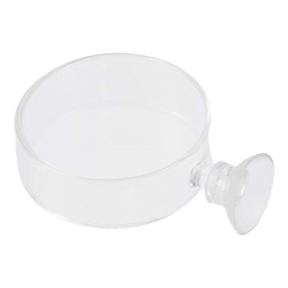 

Round Fish Feeding Dish Fish Tank Feeder Dish Dishes Tray Feeding Bowls
