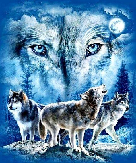 Wolf Pack Blanket with Moon and Forest Design Blue Eyes Wolf Art Soft Fleece Throw Perfect for Nature Lover Home Decor