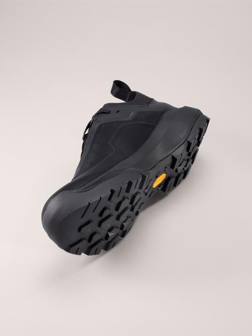 [Arc'teryx] Vertex Alpine GTX Men's [686206]