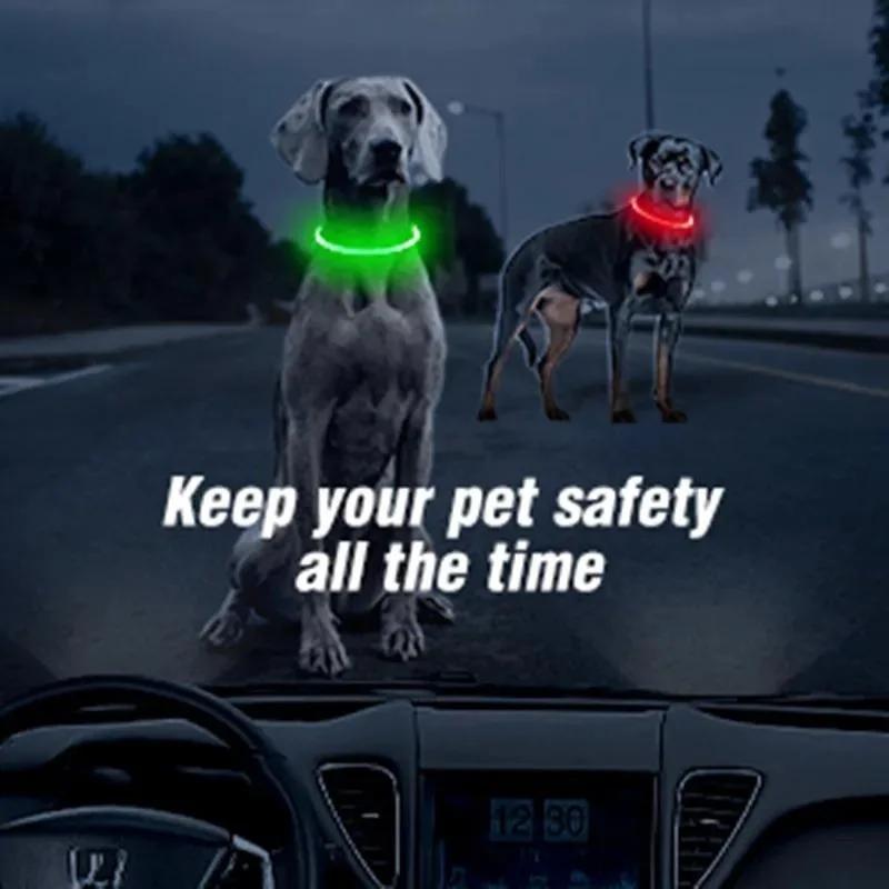 LED Pet Collar Luminous USB Cat Dog Collar Adjustable Silicone Pet Collars for Small Large Dog Chihuahua Cat Accessories