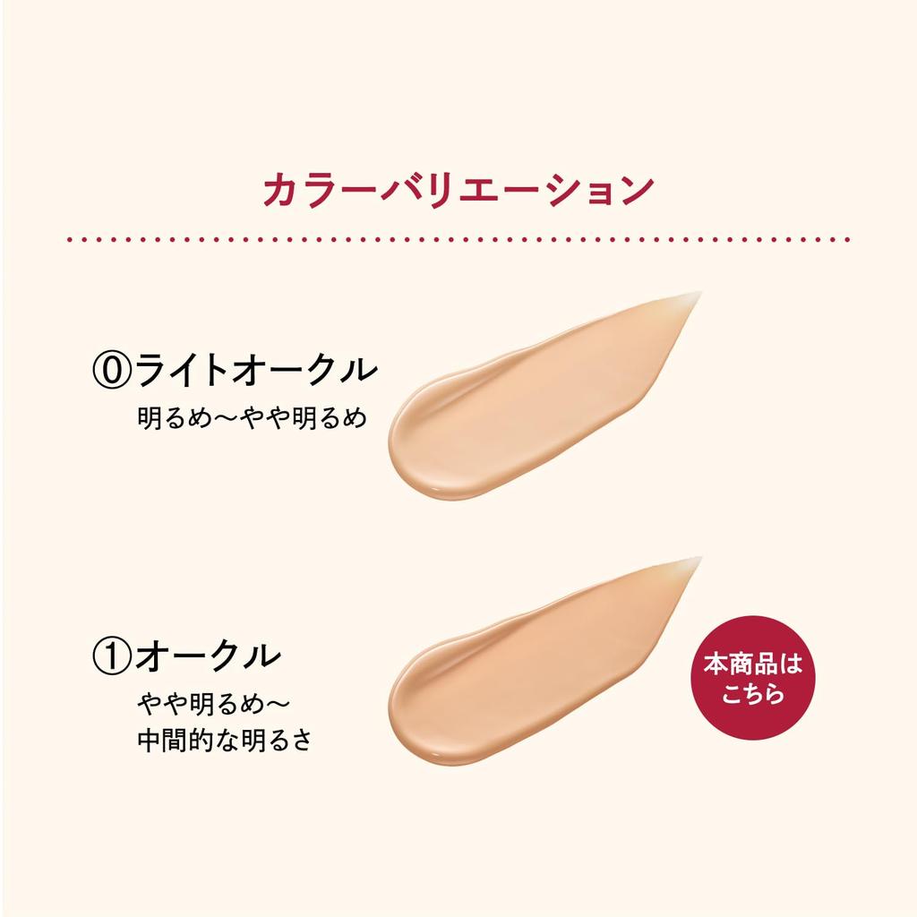 Integrate Pro Finish Cushion 1 Ochre 1 Ochre Light to Medium 12g (Refill) Foundation, Unscented, (Slightly Brightness), Refill,
