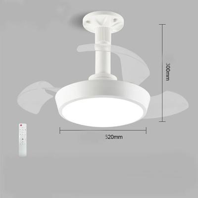 Air Circulation Fan 52cm 48w Bright 2-in-1 Ceiling Fan with Remote Control and 3 Adjustable Color Light for Bedroom