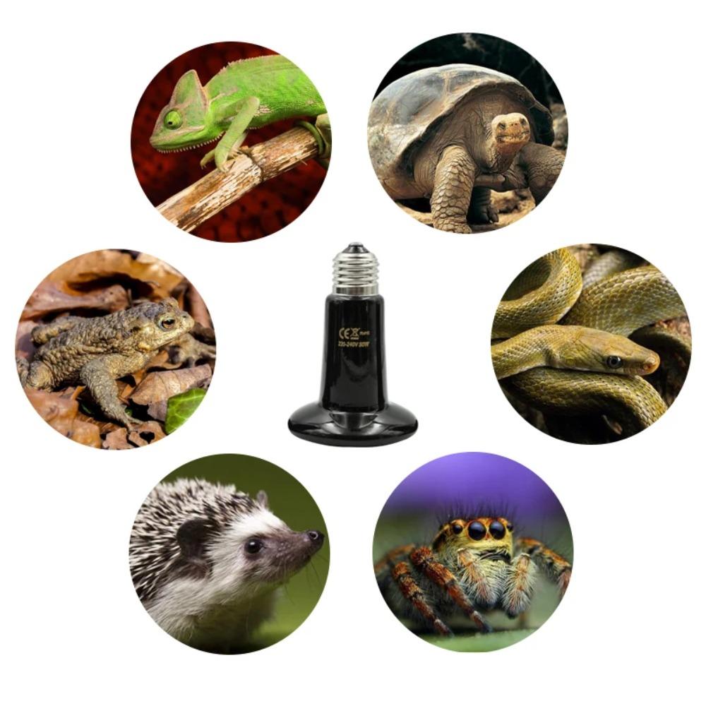 220V Ceramic Emitter Heat Lamp Bulb Infrared Animals Heater Frog Snake Lizard
