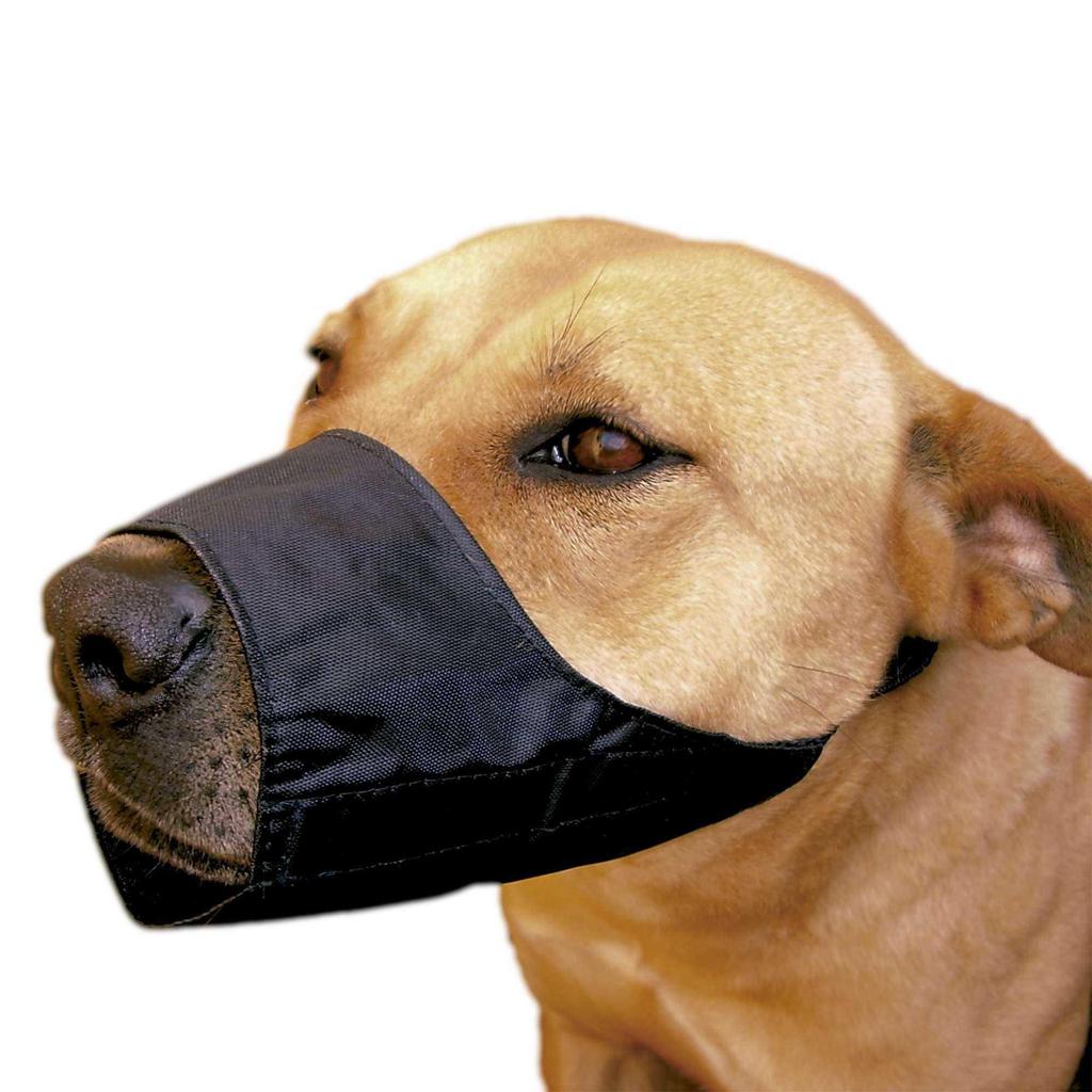 ubest dog muzzle