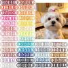 100/200 Pezzi Accessori per Peli di Cane all'Ingrosso Fiocchi per Capelli Cani Piccoli Elastici Colore Solido Elastico Yorkshire Moda Fiocchi per Toelettatura