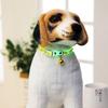 Pet Glowing Collars with Bells Glow at Night Dogs Cats Adjustable Necklace Safe
