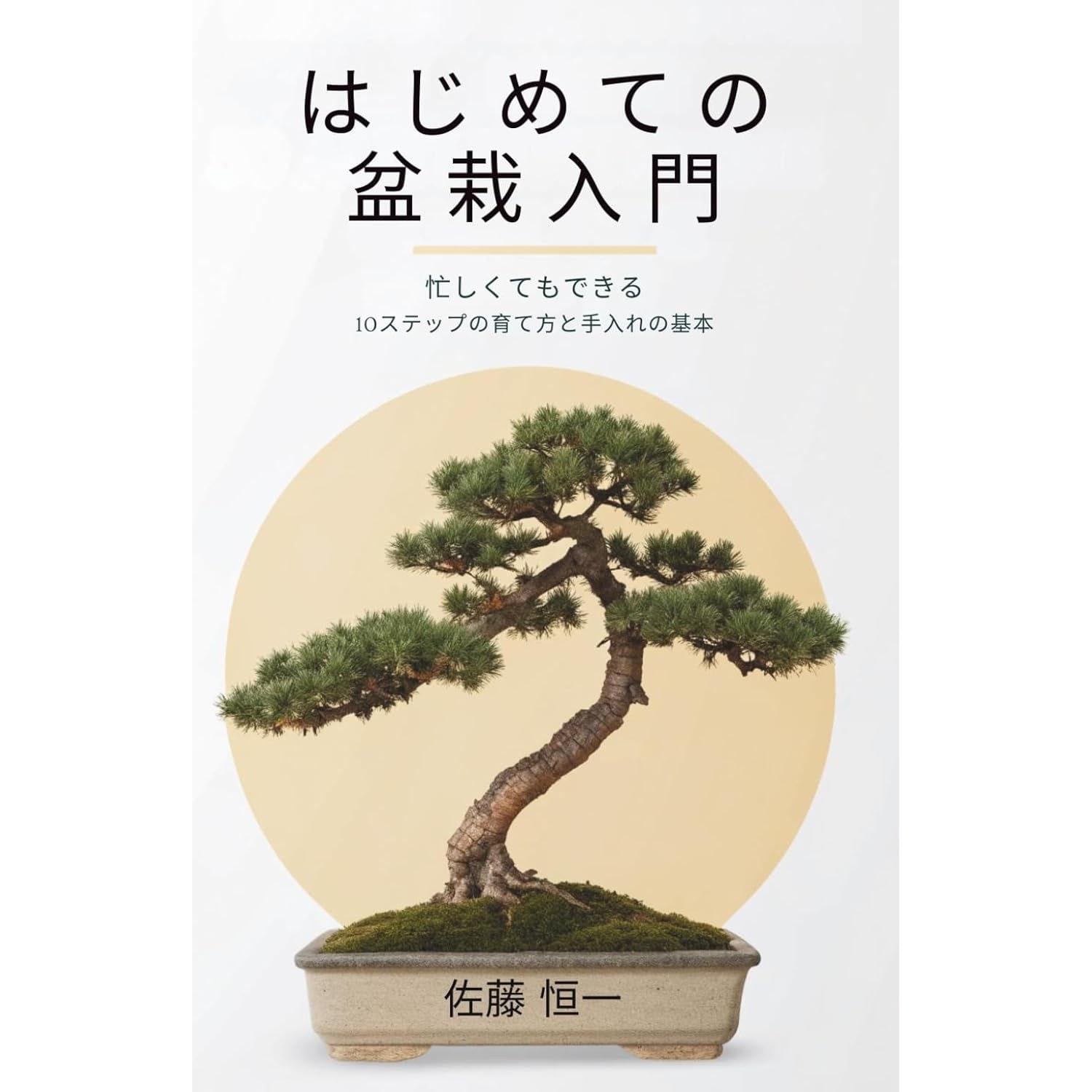 Introduction Bonsai Beginners Basic Care Growing Techniques 10 Steps That Can Be Done Even When Busy