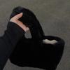 Autumn and winter plush rabbit bag large-capacity commuter class bag 2023 new niche fashion portable shoulder bag women