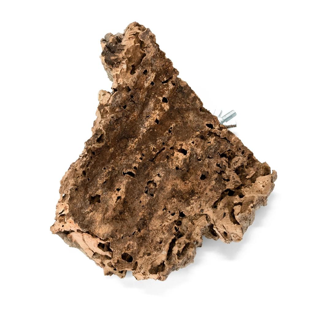 BioPoles Natural Cork Oak Bark Perch for Parrots S