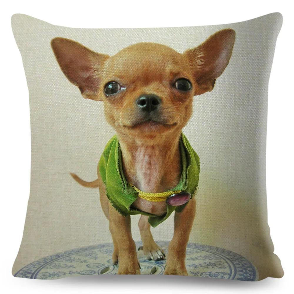 Niedlicher Kleiner Hund Chihuahua Kissenbezug Deko Liebes Haustier Tier Kissenbezug Polyester Überwurf Kissenbezug für Sofa Zuhause Auto 45x45cm
